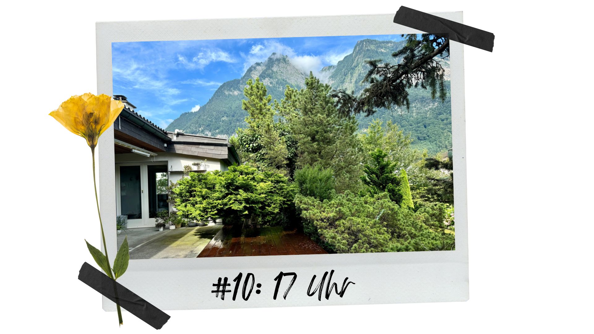 12 von 12: Juli 2024 #10