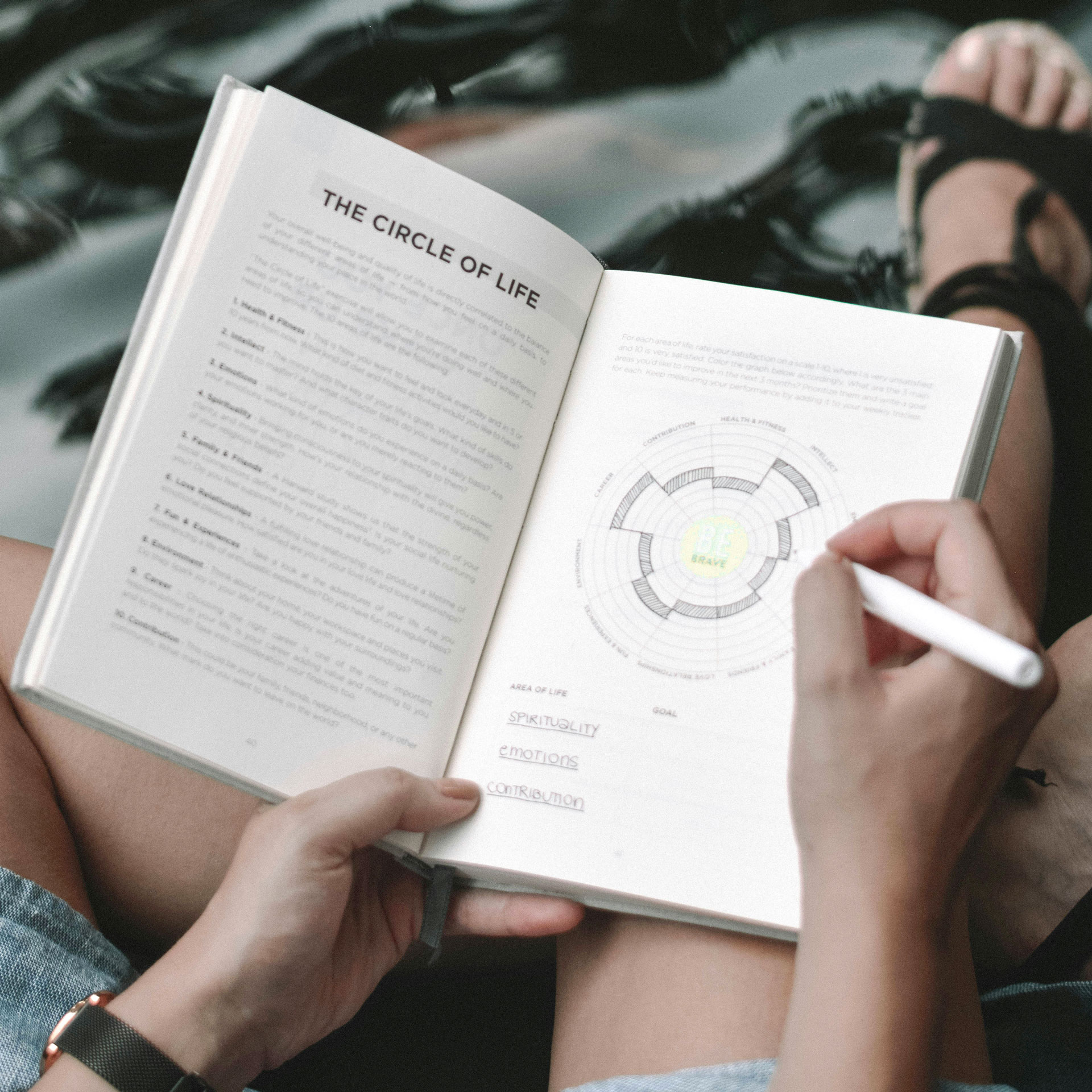 Tagebuch und Journal, Wheel of Life